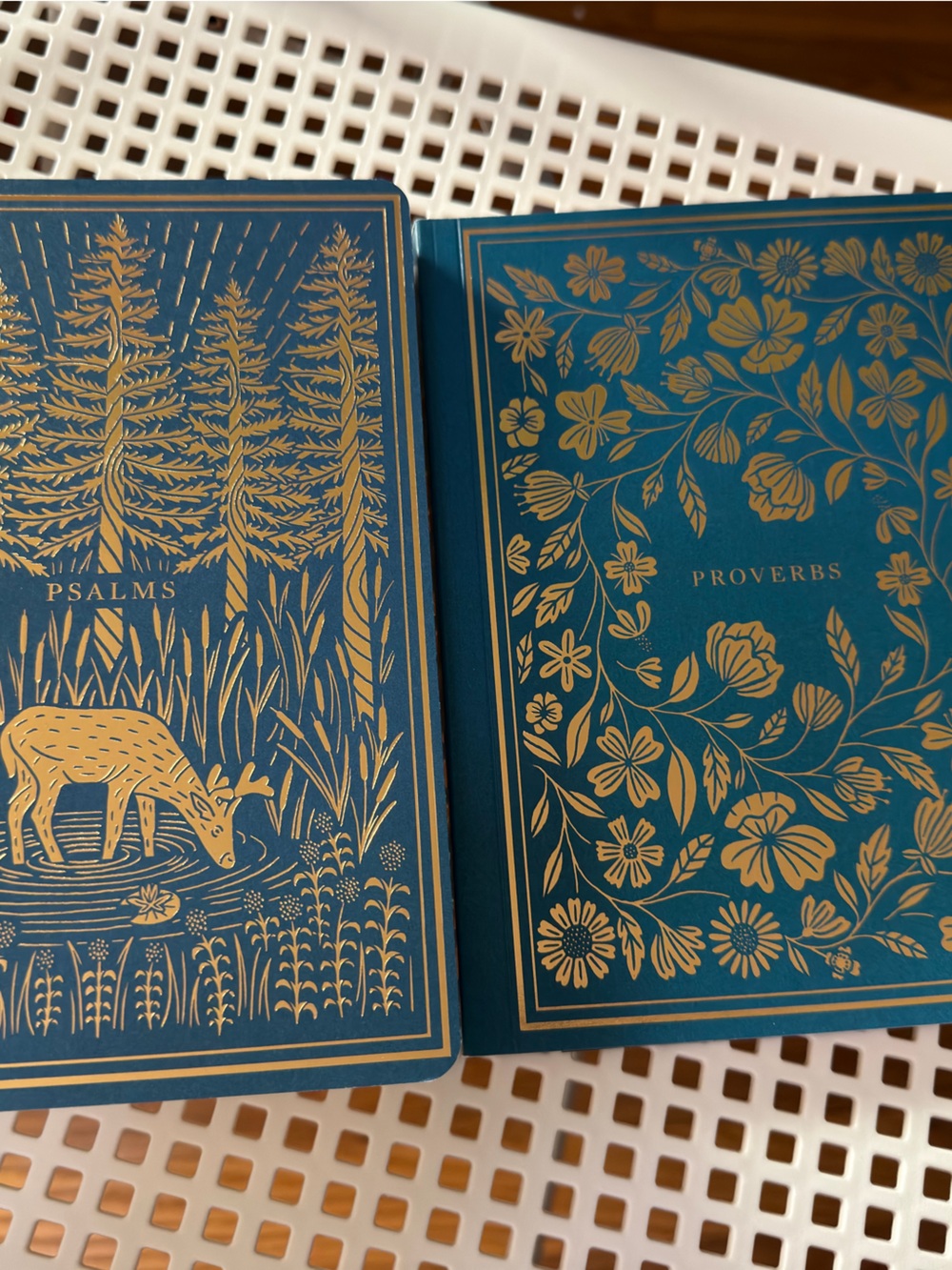 Illuminated Scripture Journals - Psalms and Proverbs